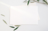 玖龙纸业(玖龙纸业：研发环保造纸技术，致力于可持续发展)